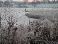 upton warren frost.jpg