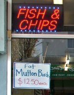 Shearwater Chippy.jpg