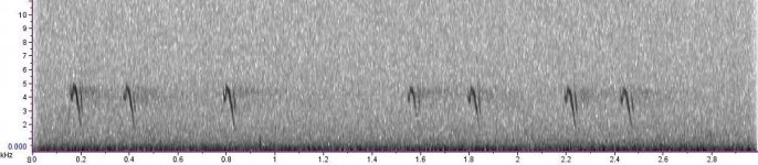 'British' or 1A Crossbill flight calls.jpg