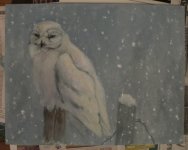 Snowy Owl 2008-01-31.jpg