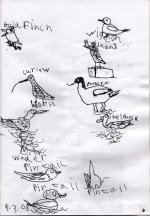 Joe's-Bird-Book003web.jpg