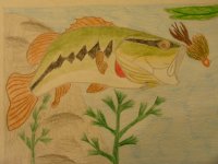 fish drawings 006.jpg