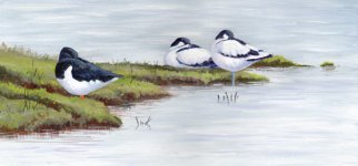 oikavocets.jpg