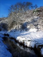 Snow scene feb 2001.jpg