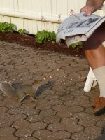 Dad and Pee Wee the Gray Squirrel - 016.jpg