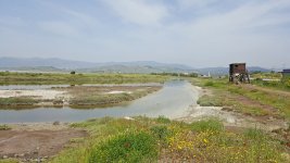 Kalloni Salt Pans Lesvos Greece - wading birds, dalmatian pelicans, flamingo, larks, pipits 27...jpg