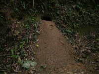 Hole_4x4Trail_Regua_070808.jpg