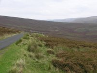 Langholm moor.JPG