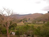 Three_Toed_Jacamar_Habitat_Soumidoro_090808.jpg