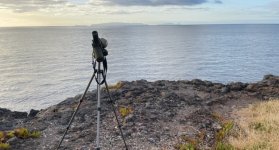 Canico - Ponta da Oliveira, Madeira - sea-watching from mainland southern coast.jpg