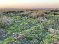 Morocco - Merga Zerga Marsh.jpg