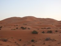 Desert.JPG