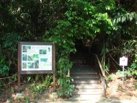Entrance to the Rain Forest trail.JPG