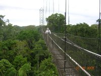 Sky walk 100+ feet high.jpg