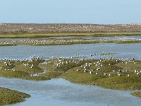 Quinta do Lago.JPG