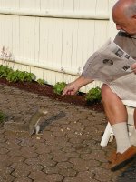 Dad and Pee Wee the Gray Squirrel - 015.jpg