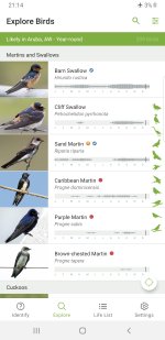 Screenshot_20231217-211423_Merlin Bird ID.jpg