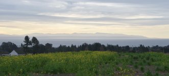 Looking Across Monterey Bay from the UCSC Farm 2024-01-13 b.JPG