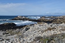 Asilomar Coast 2024-01-23.JPG