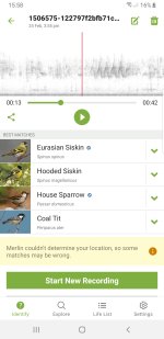 Screenshot_20240224-155811_Merlin Bird ID.jpg