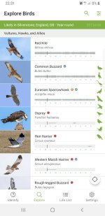 Screenshot_20240315-223147_Merlin Bird ID.jpg