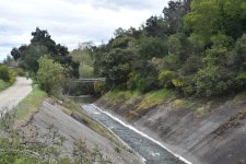 Dipper Habitat - Los Gatos Creek.jpg