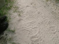 5. Elephant tracks.jpg