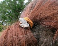 Painted Reed Frog hairclip.jpg