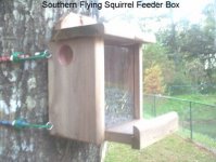 SouthernFlyingSquirrelFeeder1.jpg