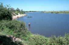 Chobe viewsite 1 - Jan 2001.jpg