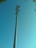 ospreyincelltower.jpg