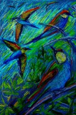 bee eater3Pastel.JPG