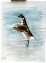 brants goose pastel 9x12.jpg