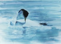 grebe watercolor 4868.jpg