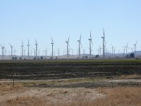 40 Windfarm, 95 turbines in view, La Janda, 15 Sept small copy.jpg