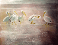 white-pelicans-oil-wip-1.gif