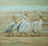 white-pelicans-wip-4a.gif