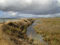 1 alvor estuary.jpg