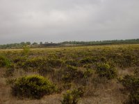 1 Raptor watch point at Cape.St.Vincent.jpg