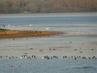 Chew Valley Lake.jpg