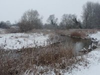 Sculthorpe Moor river Wensum 21 Feb 2010 late am.jpg