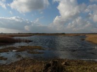 Strumpshaw Fen, Reception Hide.JPG