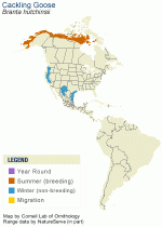 bran_hutc_AllAm_map_new.gif