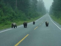 Northern Ontario Gang From Al.jpg