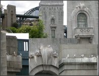 Kittiwakes_Tyne Bridge.jpg