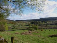 View from Kippford wood [].JPG