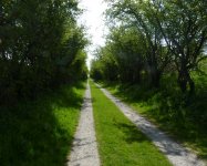 Pathway to Saltcot Merse Observatory. Caerlaverock.JPG