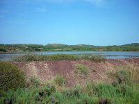 Salinas and egrets.jpg