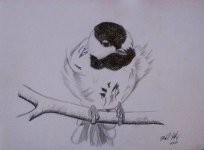 Cropped Chickadee.JPG