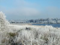 A view of north  of moors pool in -10 degrees 7th Dec 10.jpg